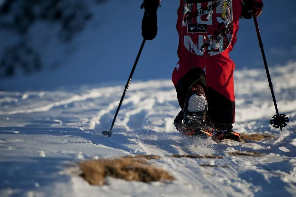 Hotel Alpina Saalbach-Hinterglemm Austria